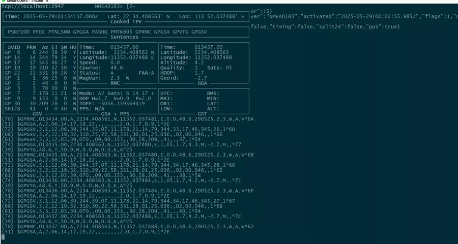 gpsmon.webp